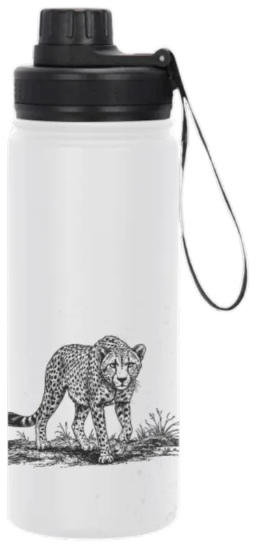 Young cheetah