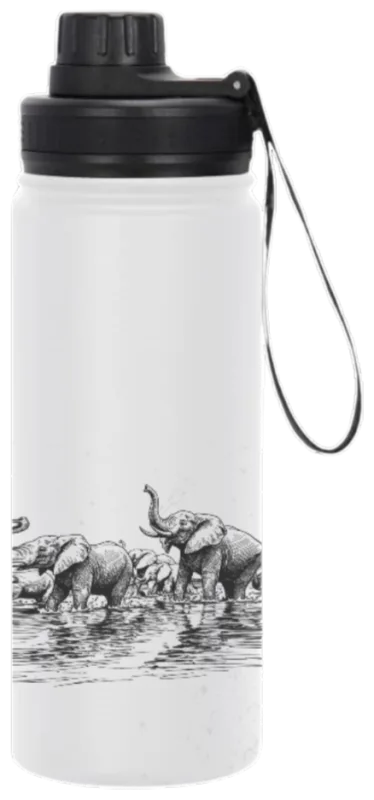 Elephant herd