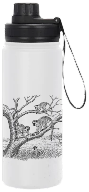 Vervet monkeys